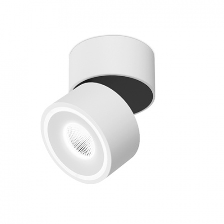 FOCUS MINI W DW DIM